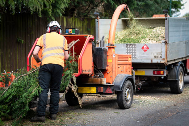 Best Professional Tree Care  in St James, NC